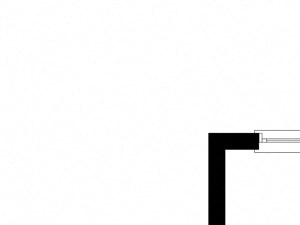 Elm